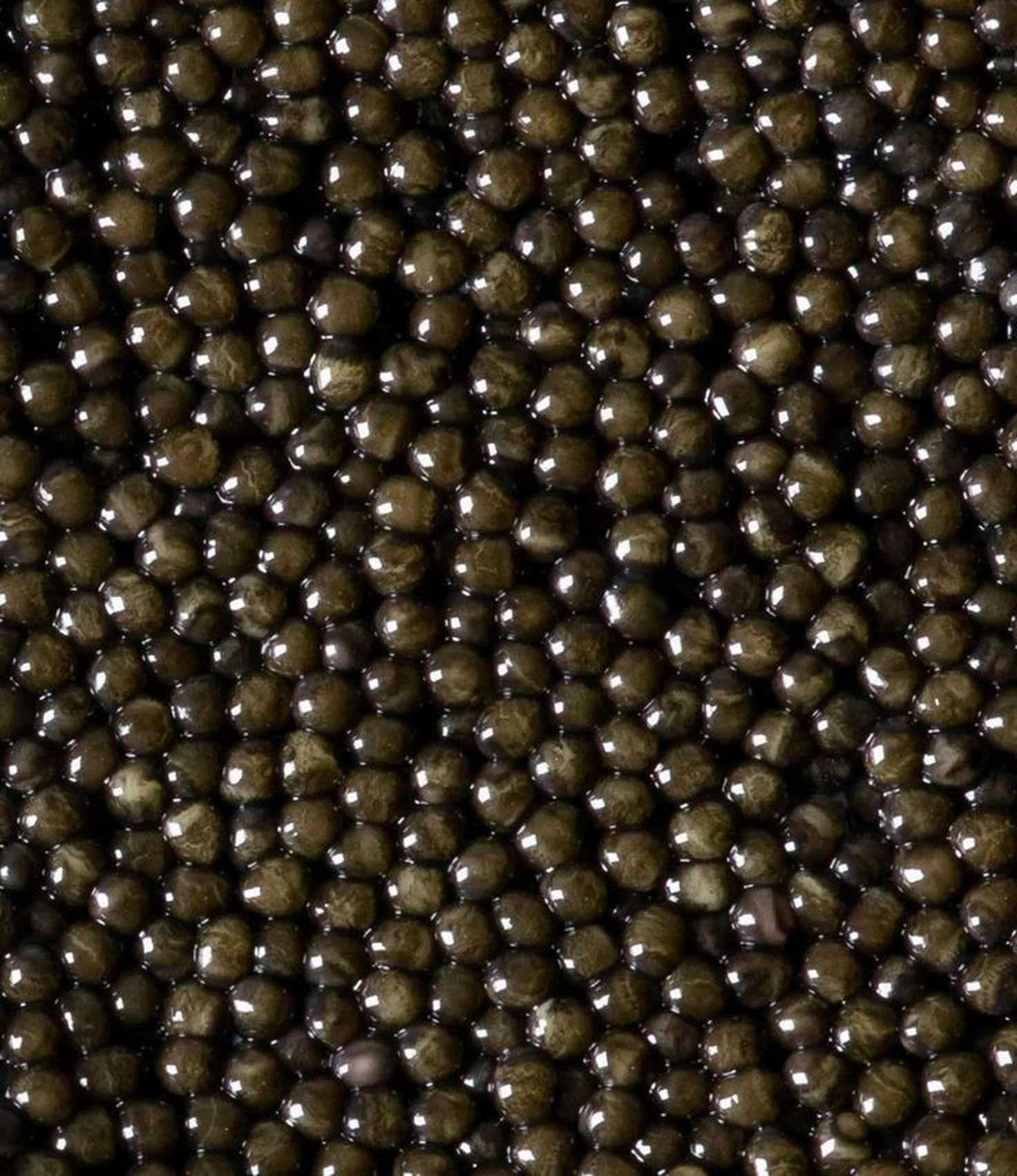 Grains de caviar en gros plan